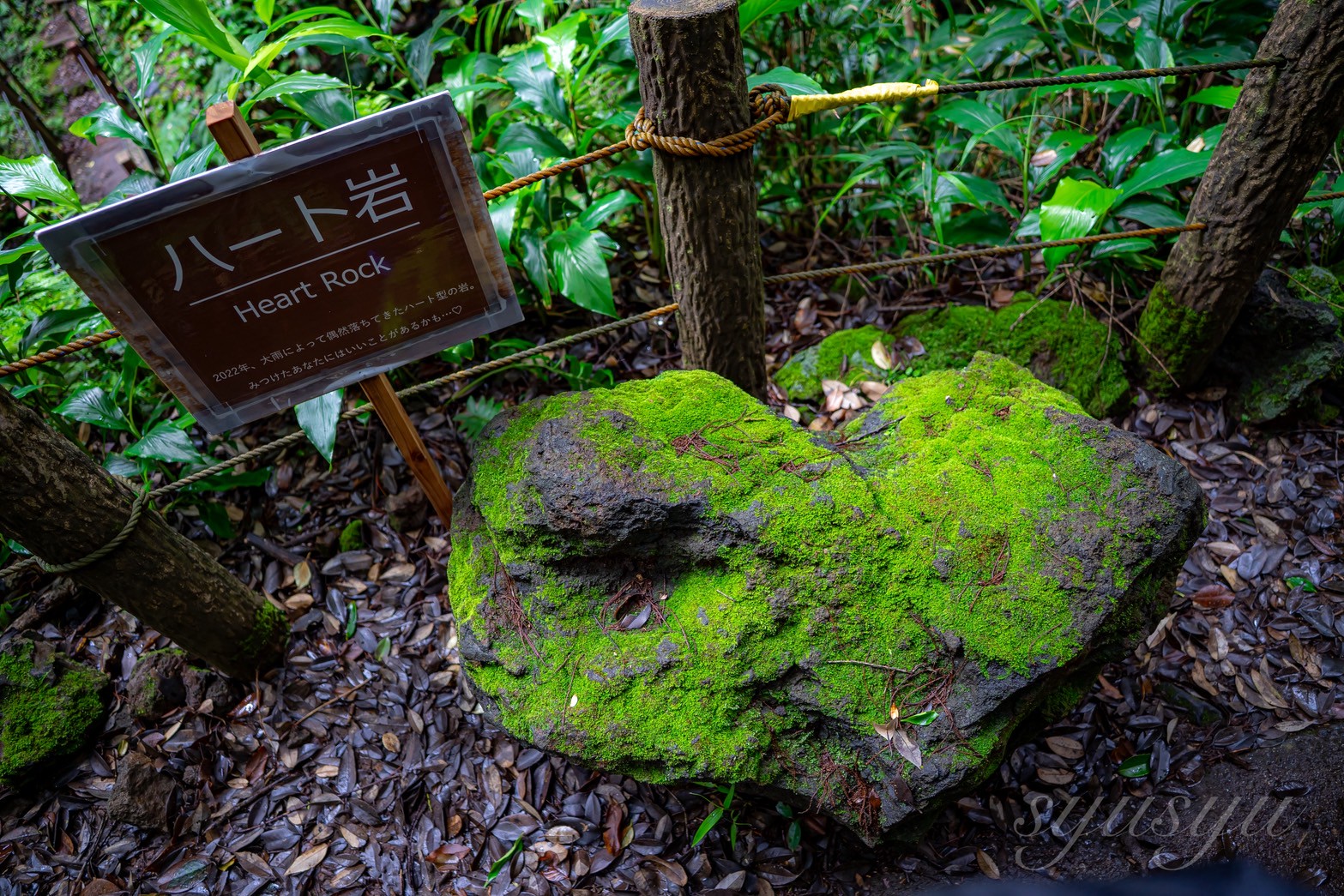 八丈島、ハート岩