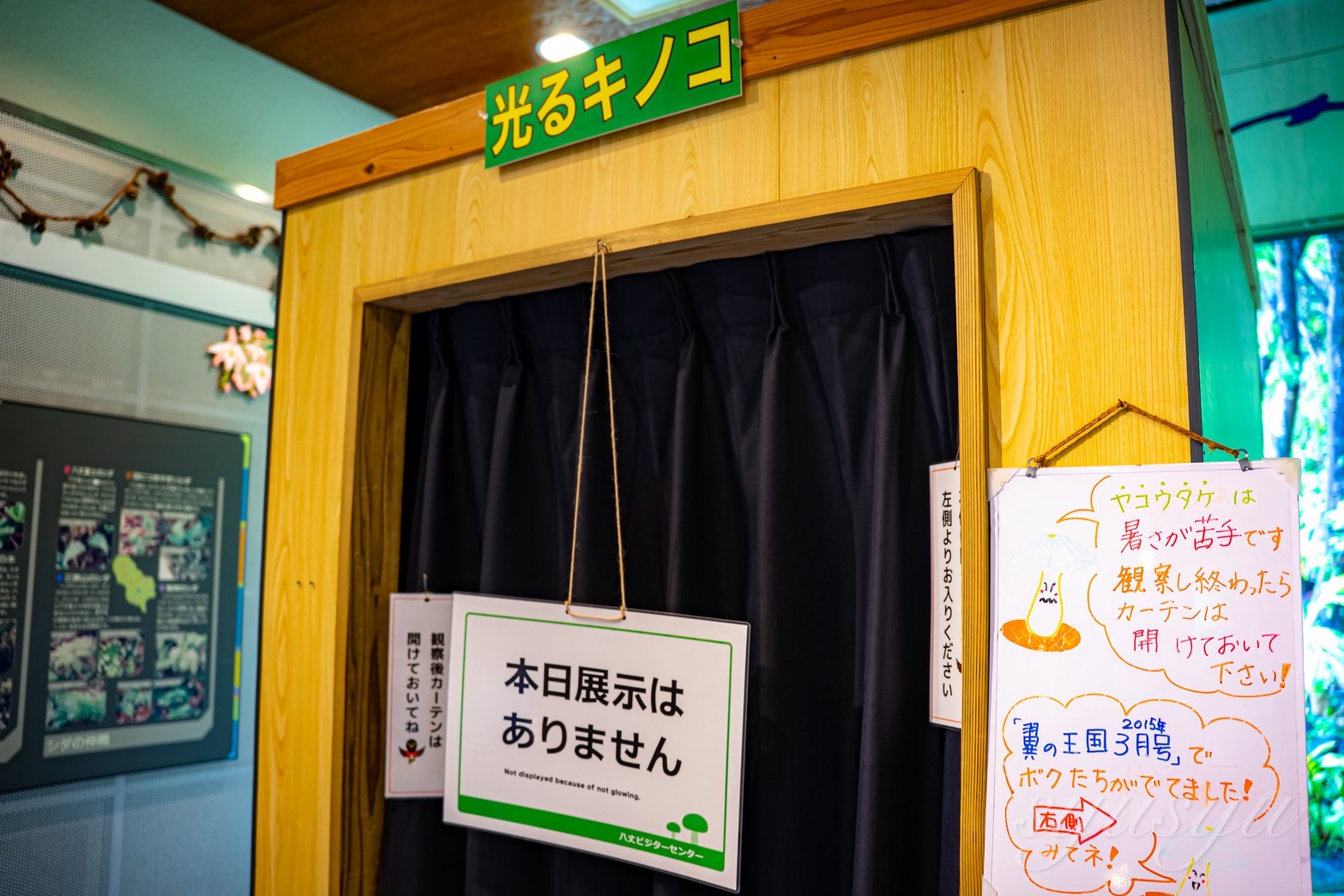 八丈ビジターセンターの光るきのこ