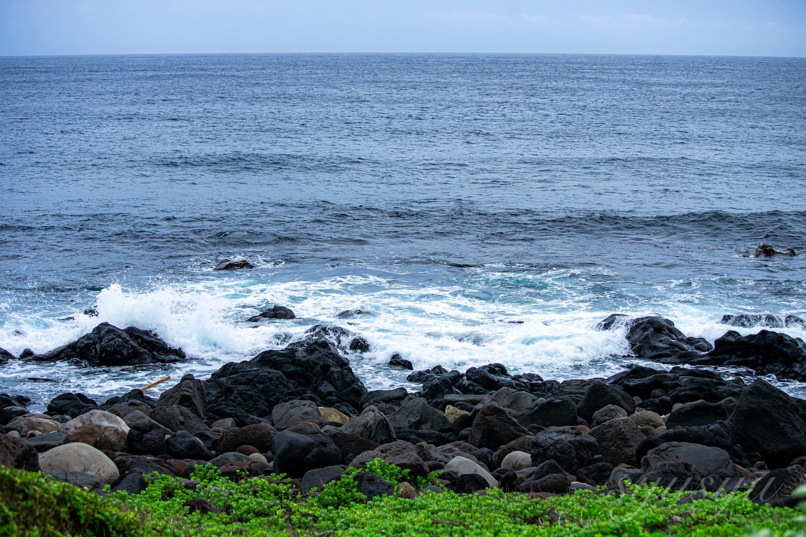 大潟浦園地