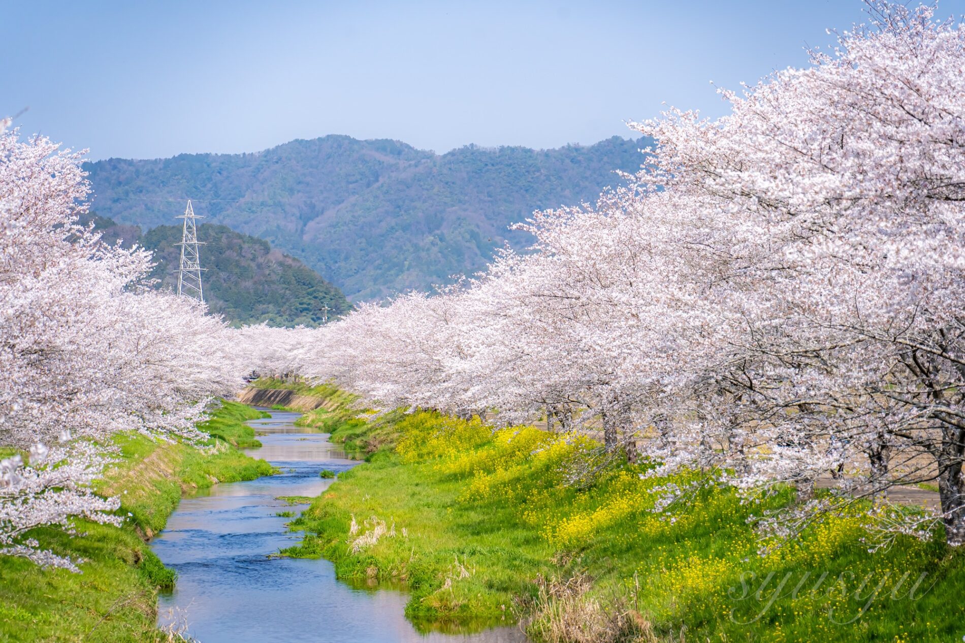 Sigma 20–200mm F3.5–6.3 DG | Contemporary+Sony α7c