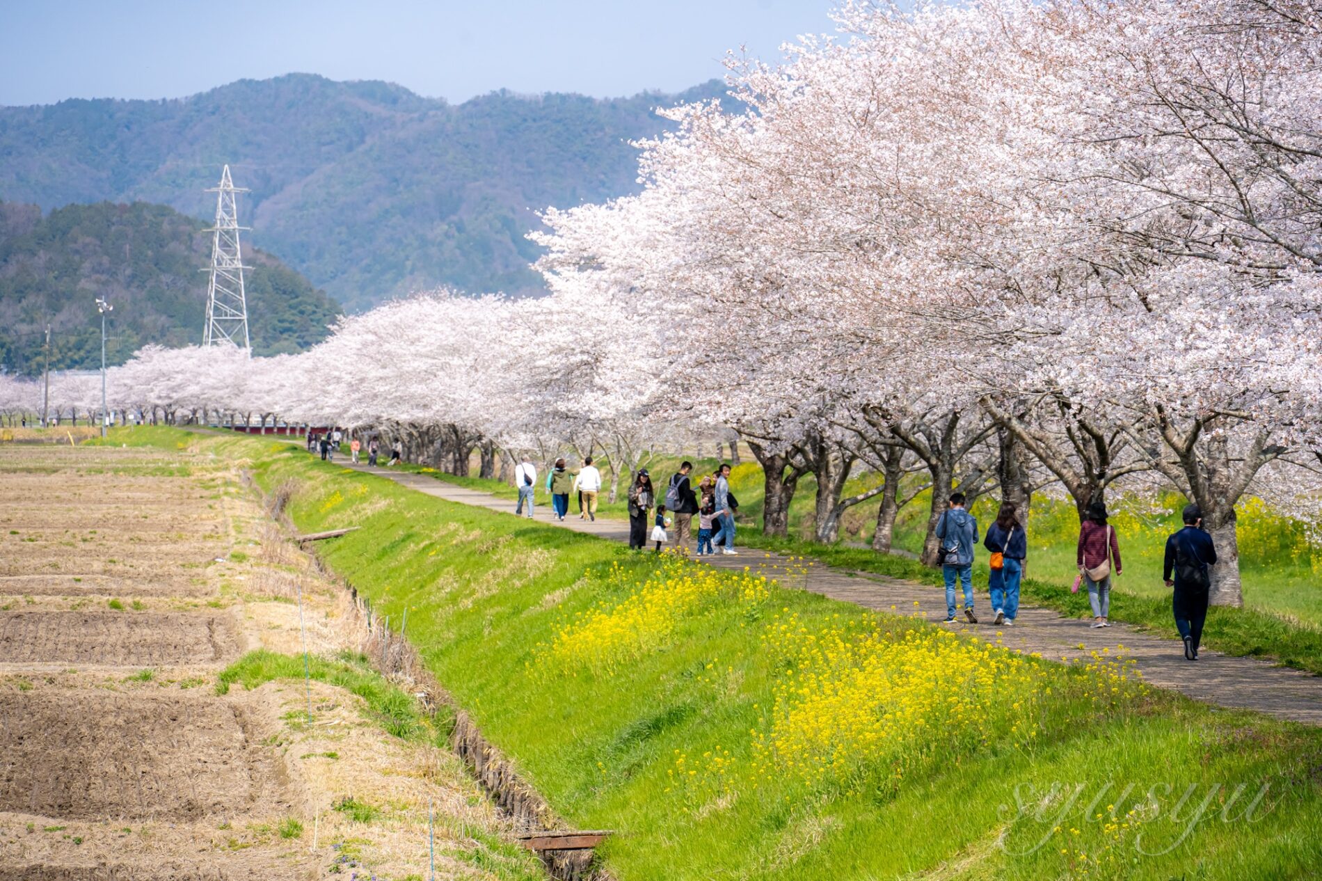 Sigma 20–200mm F3.5–6.3 DG | Contemporary+Sony α7c